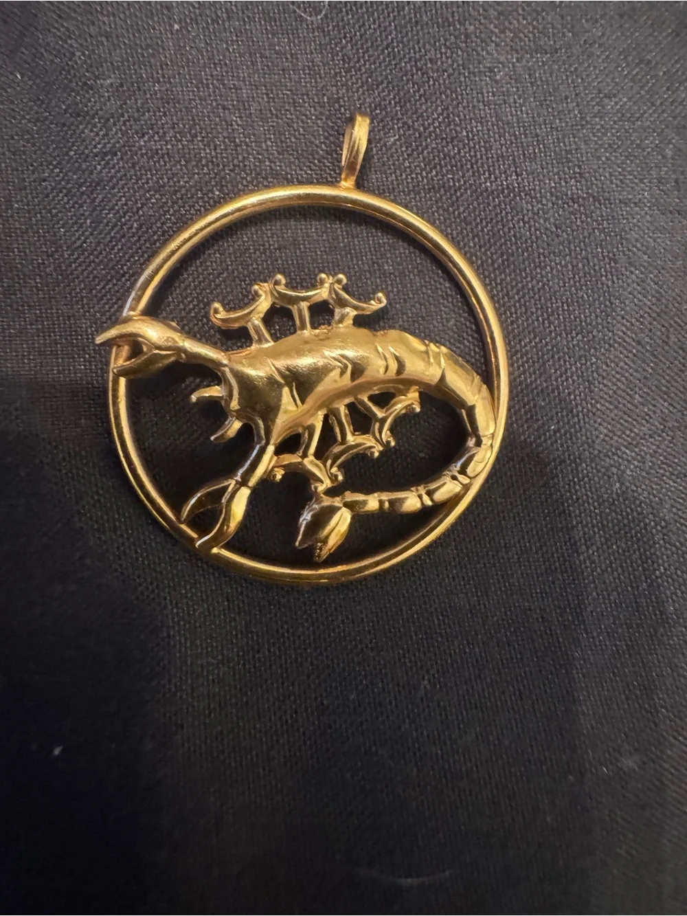 Gold Lizard Circle Pendant for Reptile Habitat Accessories - Gold